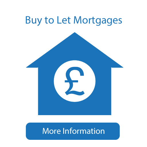 buytolet.fw &#8211; Copy